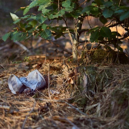 Saint-Aignan de Grand Lieu : les enfants sensibilisent sur la pollution liée aux déchets