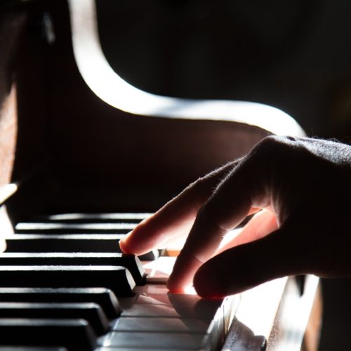 Musique Classique : “La Truite” de Schubert à écouter depuis son salon