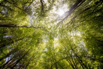 Espaces naturels : des actions soutenues en Loire-Atlantique