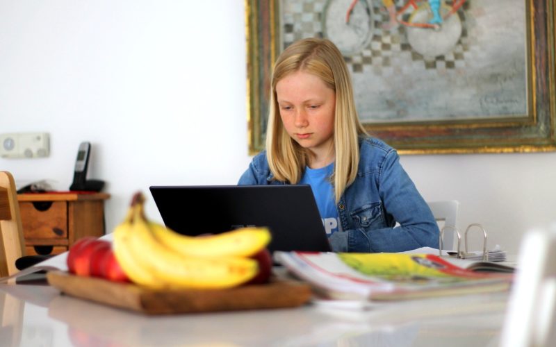 Rentrée scolaire : Une plateforme mise en oeuvre par le département pour trouver son stage de 3ème.