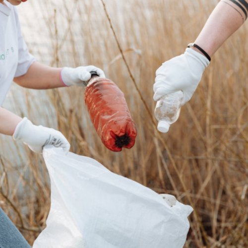 Erdre & Gesvres : Un plan pour lutter contre les déchets abandonnés
