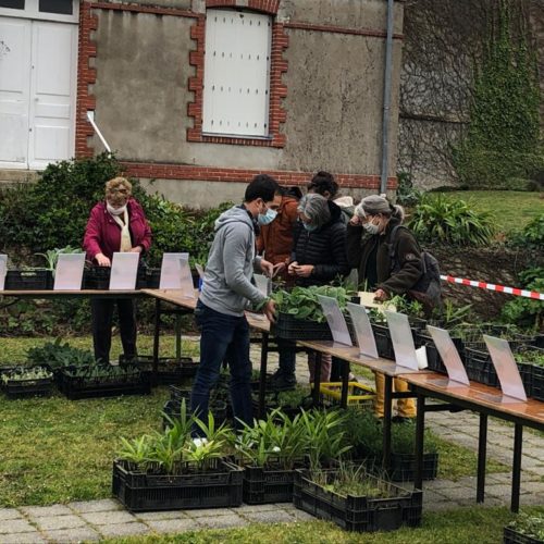 Haute-Goulaine célèbre le Printemps avec un marché aux plantes