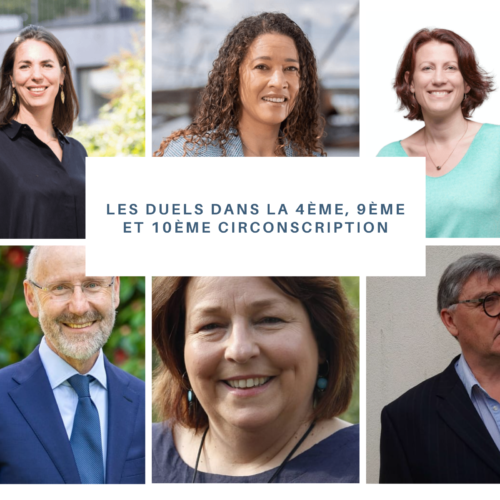 Législatives : Quelle image pour les circonscriptions du Sud-Loire ?