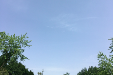 Dernière journée de canicule niveau rouge en Loire-Atlantique