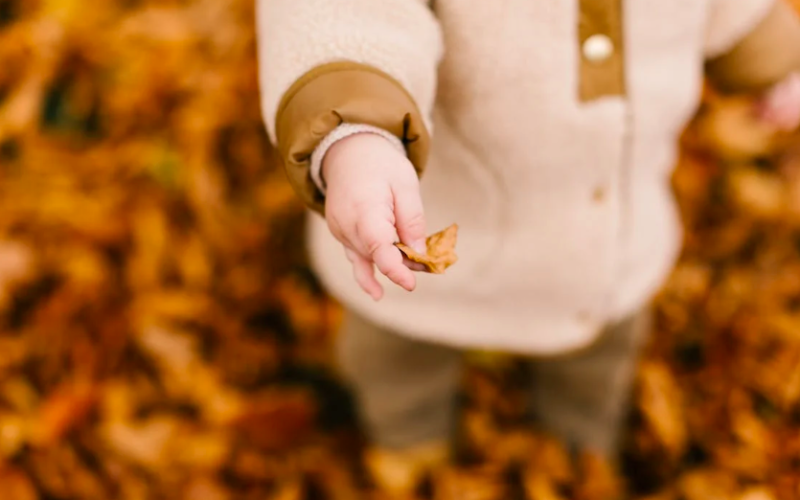 Nantes : A la recherche des feuilles d’automne au Jardin des Plantes