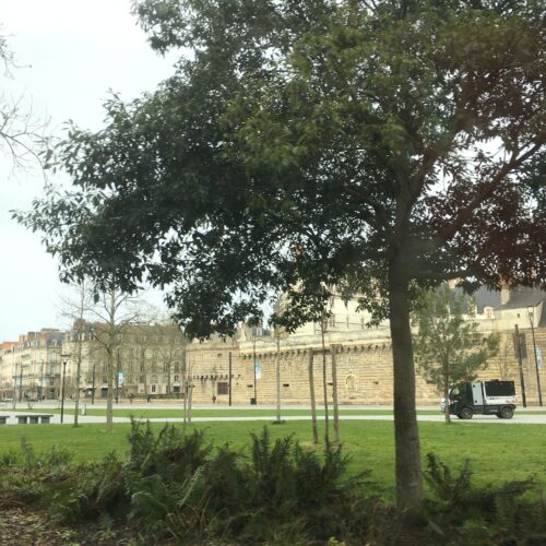 Voyage à Nantes : « Les arbres remarquables » au coeur du voyage estival 