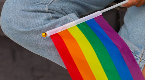 Académie de Nantes : observatoire contre les discriminations LGBT +