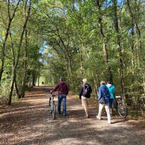 Saint-Aignan de Grand Lieu : Balade des curiosités le 14 mai