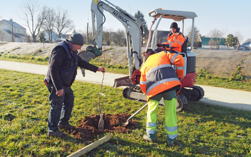 A Nort-sur-Erdre, 53 arbres fruitiers rustiques et locaux plantés