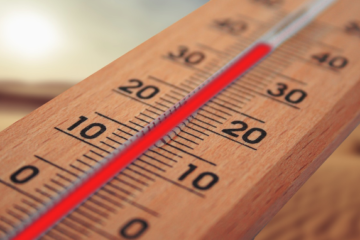 Canicule : Le département connaît un fort épisode de chaleur