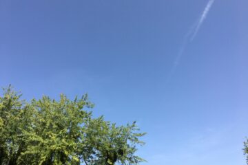 Reportage : A Nantes on affronte la canicule « cela va être infernal » 