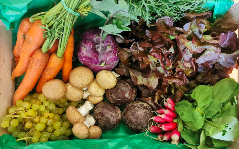 14 nouveaux points relais pour les Paniers bio solidaires
