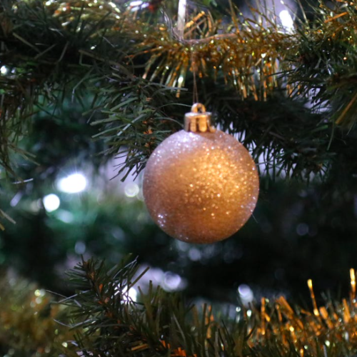 Divatte-sur-Loire : Qui offrira un sapin de Noël à la commune ?