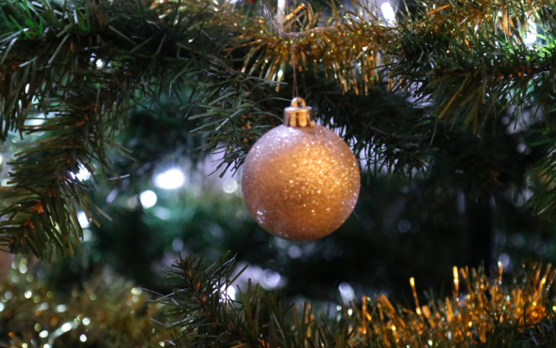 Où déposer son sapin après les fêtes à Nantes ?