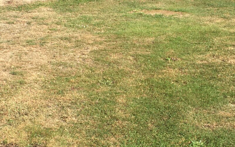 Habitat solidaire à Rezé : une réunion avec les élus tourne au vinaigre