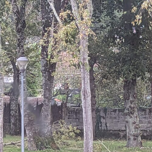 Après Ciaràn place à la tempête Domingos en Loire-Atlantique