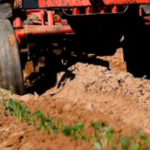 Loire-Atlantique : Une ferme préservée par l’épargne citoyenne