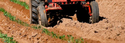 Agriculture bio : aide maintenue dans les Pays de la Loire