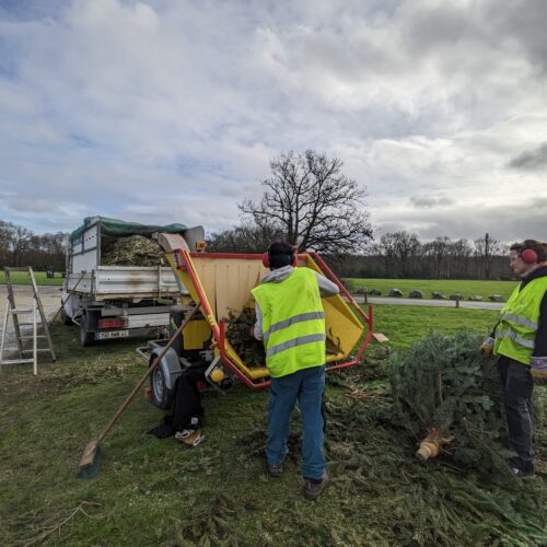 Saint-Aignan de Grand Lieu : une opération de broyage de sapins