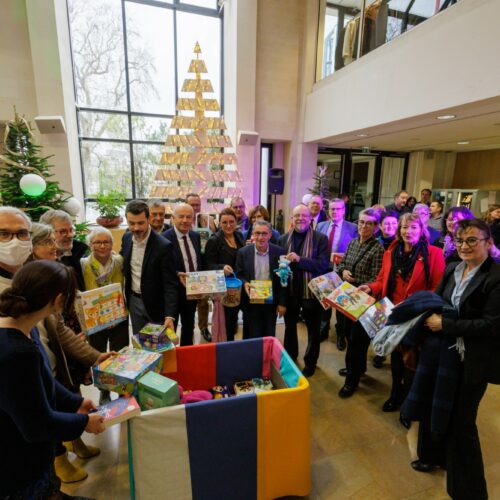 Noël Solidaire au département : 336 jouets collectés