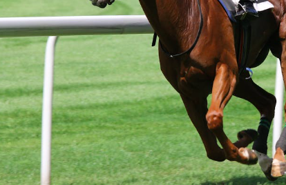 Vertou : Courses et animations à l’hippodrome les 25 et 26 août