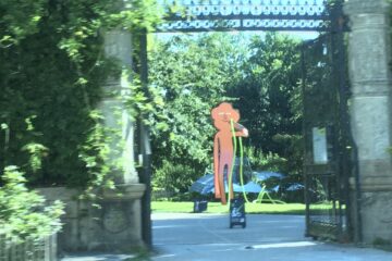 A l’automne, on sème des fleurs à Nantes et dans l’agglo