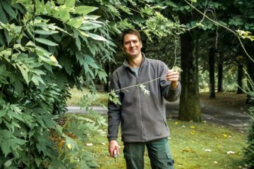 [C’est leur métier] : Sylvain jardinier à la ville de Nantes «  j’aime le travail en extérieur » 