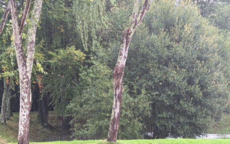 Tempête Kirk : Etat de catastrophe naturelle reconnu pour plusieurs villes en Loire-Atlantique