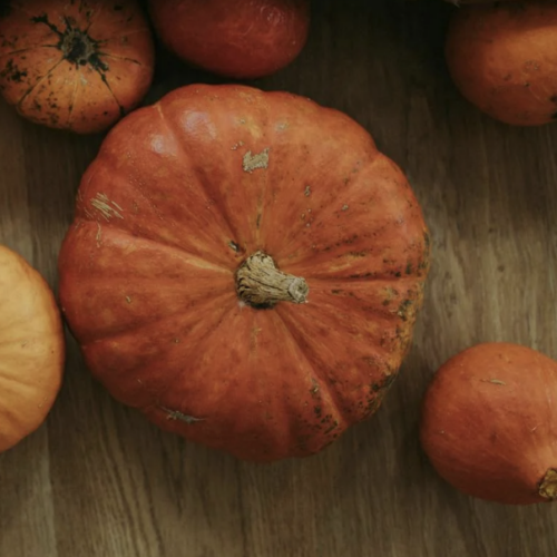 Qui a des citrouilles pour une commune de Grand Lieu communauté ?