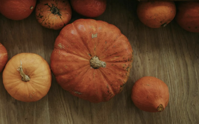 Qui a des citrouilles pour une commune de Grand Lieu communauté ?