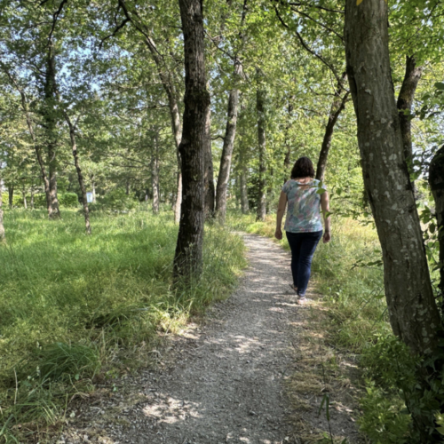 Une balade de la biodiversité à Sainte-Luce-sur-Loire