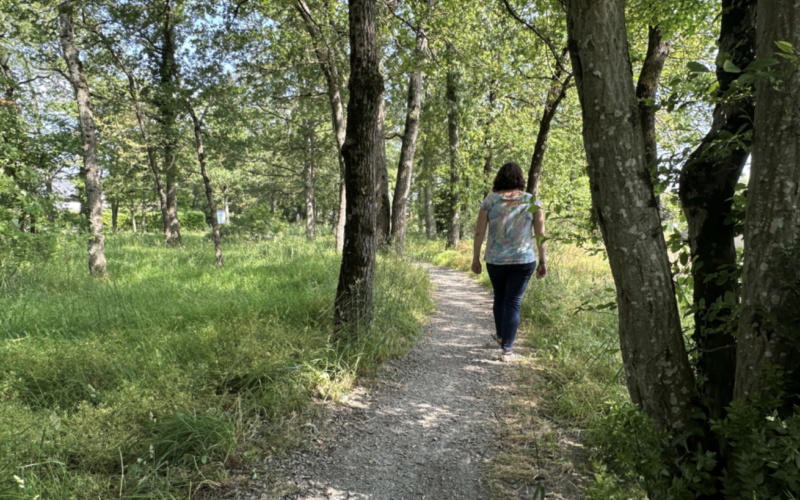 Une balade de la biodiversité à Sainte-Luce-sur-Loire