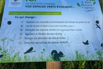Décryptage : Eco-pâturage, fauchage raisonné… comment la nouvelle gestion des espaces verts s’invite en ville ?