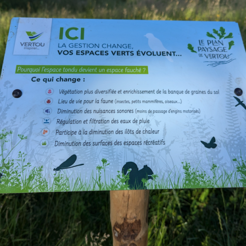 Décryptage : Eco-pâturage, fauchage raisonné… comment la nouvelle gestion des espaces verts s’invite en ville ?