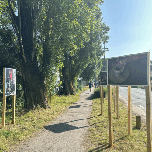 Des photos s’exposent sur les bords de Loire à Sainte-Luce