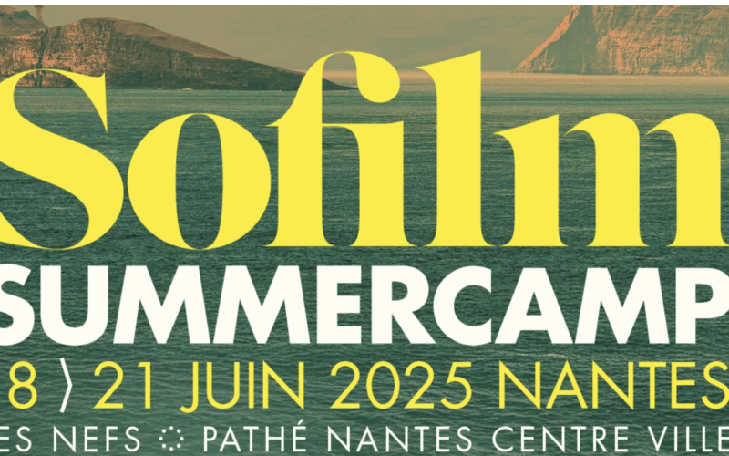Le Festival Sofilm Summercamp fait son cinéma à Nantes