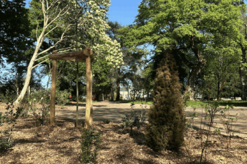 A Sainte-Luce-sur-Loire, un “îlot de fraicheur” Parc Auvigne