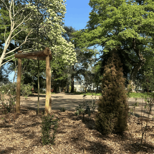 A Sainte-Luce-sur-Loire, un “îlot de fraicheur” Parc Auvigne