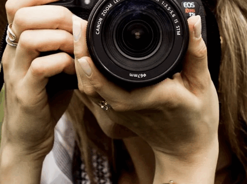 Concours photo organisé par le CME du Pallet