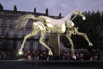 A Nantes le cheval Zeus étonne autant qu’il impressionne.