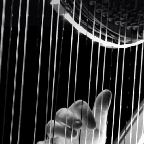 Droits de douane USA : l’impact musical en Loire-Atlantique