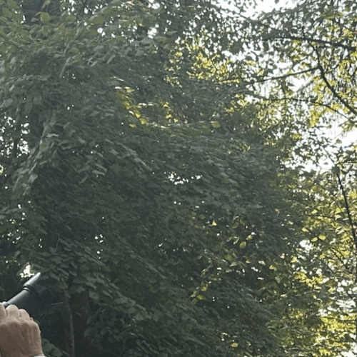 Une balade pour célébrer l’automne à Sainte-Luce-sur-Loire
