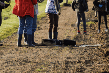 Une plantation participative de haies à Nort-sur-Erdre