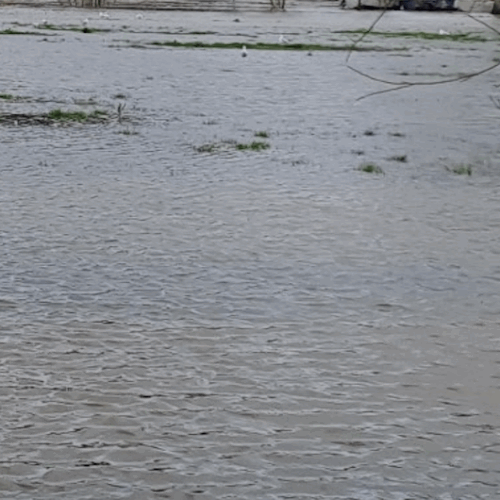 Crues : Très légère amélioration en Loire-Atlantique, la prudence est de mise