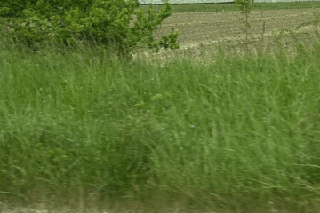 Quand l&rsquo;épargne solidaire soutient la filière bio en Pays de la Loire