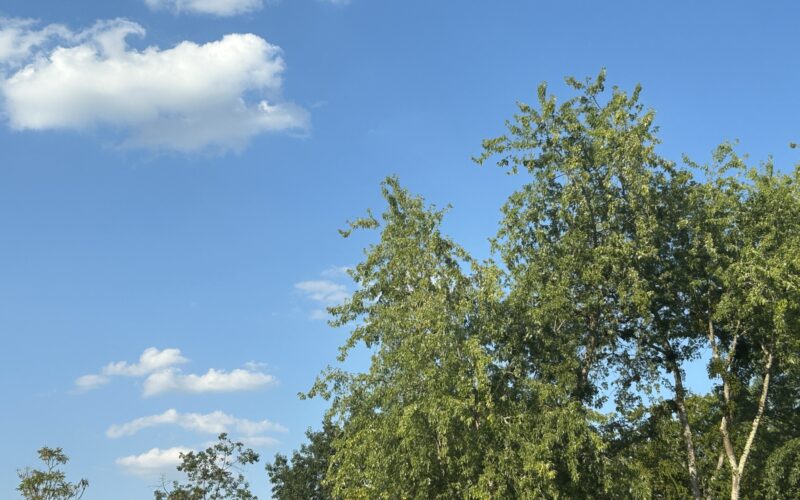 Canicule : Vigilance rouge déclenchée demain en Loire-Atlantique